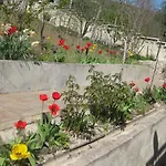 Apartman Panorama *