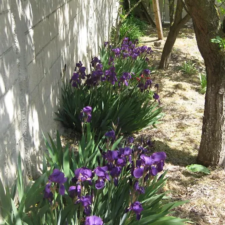 Panorama Apartment Golden Sands