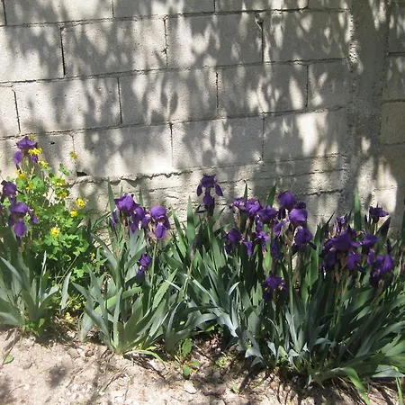 Panorama Apartment Golden Sands