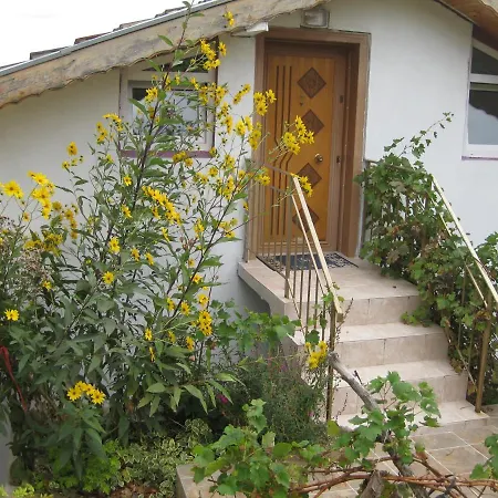 Apartment Panorama *