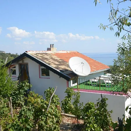 Panorama *