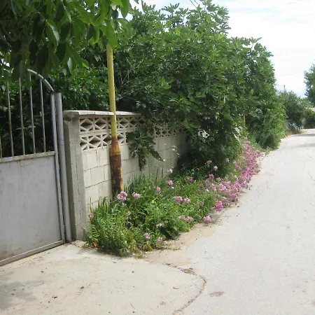 Daire Panorama