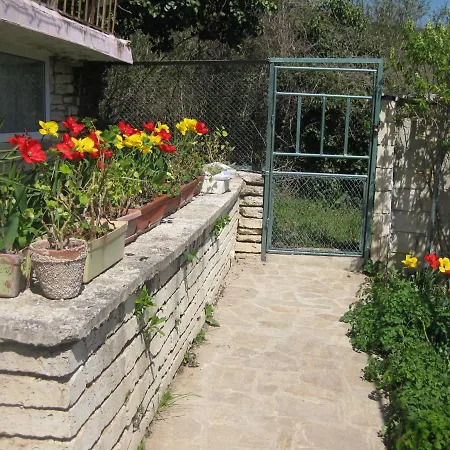 Panorama Apartment