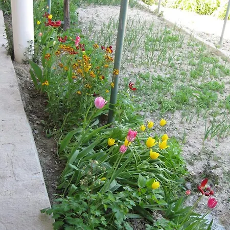 Panorama Daire Altın Kumlar