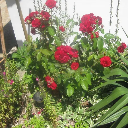 Panorama * Golden Sands