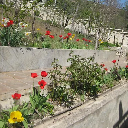 Apartment Panorama *