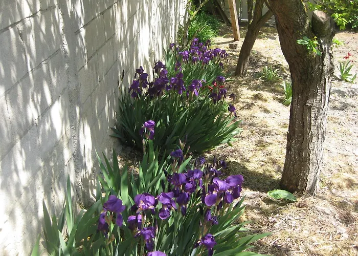 Panorama Appartamento Golden Sands