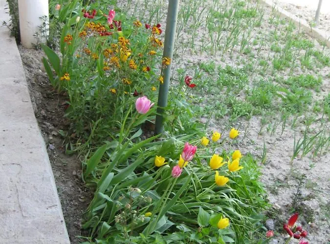 Panorama Appartamento Golden Sands