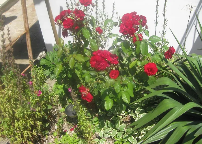 Panorama * Golden Sands